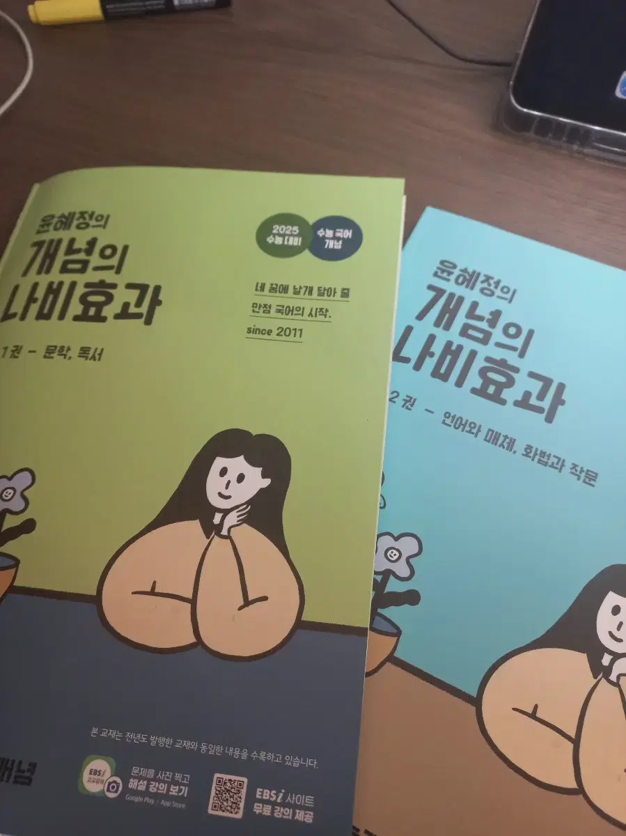 개념의 나비 효과